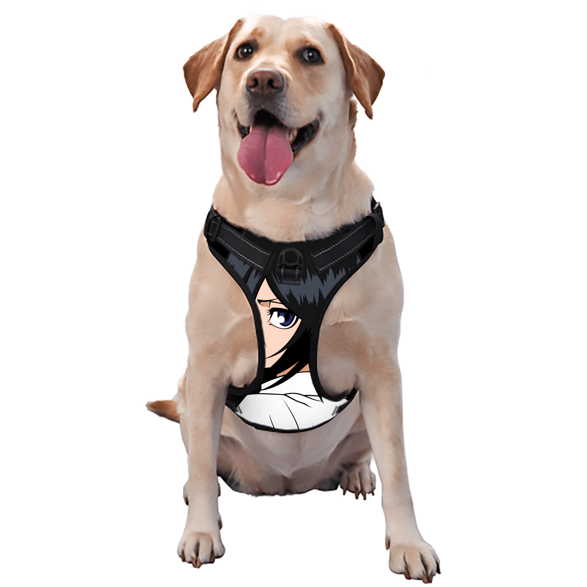 （画像用） ブリーチ 朽木ルキア BLEACH Kuchiki Rukia ペット用ハーネス